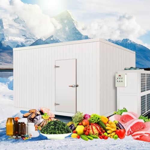 Kho lạnh bảo quản thực phẩm có ưu điểm gì?