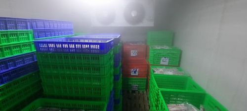 Lắp đặt kho đông lạnh hải sản tại Đồng Nai