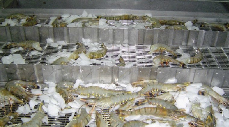 Kho đông lạnh bảo quản hải sản giúp cho hải sản giữ được chất lượng lâu hơn